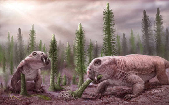 2億5000万年前、南極にいた生物のキバに「冬眠」の痕跡を発見!冬眠を始めた最初の生物かも
