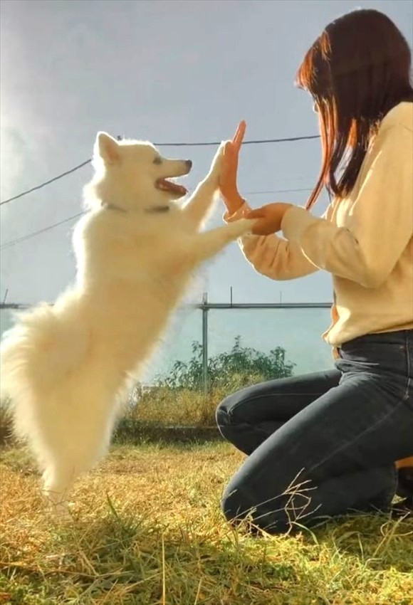 愛犬との『ふたりだけの特別なおまじない』に反響！「見てるこちらもほっこり。愛に包まれました」