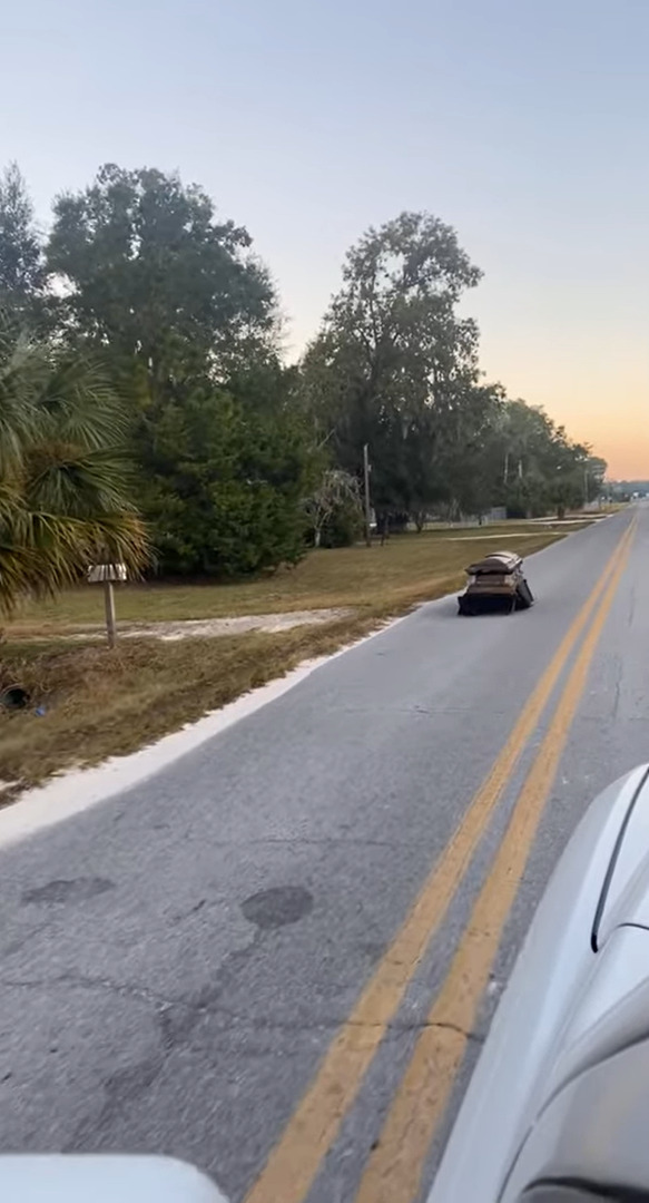 ハロウィンの季節だから？道路を走っていたら向かいから迫って来たものにビックリ！もしかしたらドラキュラがドライブしていたのかもしれません