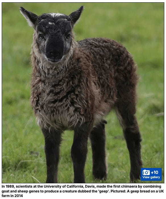 遺伝子編集が暴走したら… 専門家が警告する「キメラ動物」と「超人」誕生