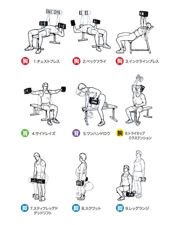 自宅でも限界まで追い込める最強ダンベルの使い方！