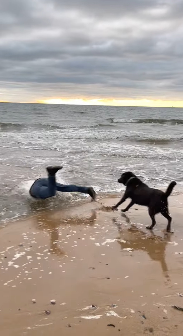 愛犬たちが小川の向こうに忘れたボールを回収しに行こうとしたパパさん。波が小さいうちに向かおうとジャンプしたその時・・・！！【海外・動画】