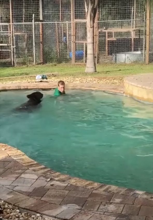 怖くないの？！プールで気持ちよさそうに泳ぐ男性、そこに一緒にいたのは・・、猛獣として知られる動物たちでした！！