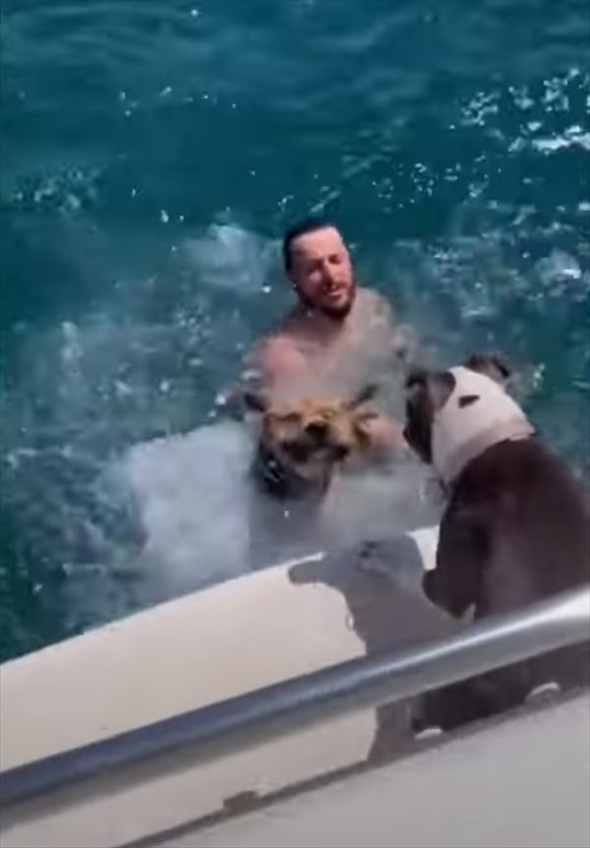 泳いでいる飼い主さんの姿を眺めている子犬たち。すると、一頭がボートから落ちるアクシデントが！その理由にビックリ！！【海外・動画】