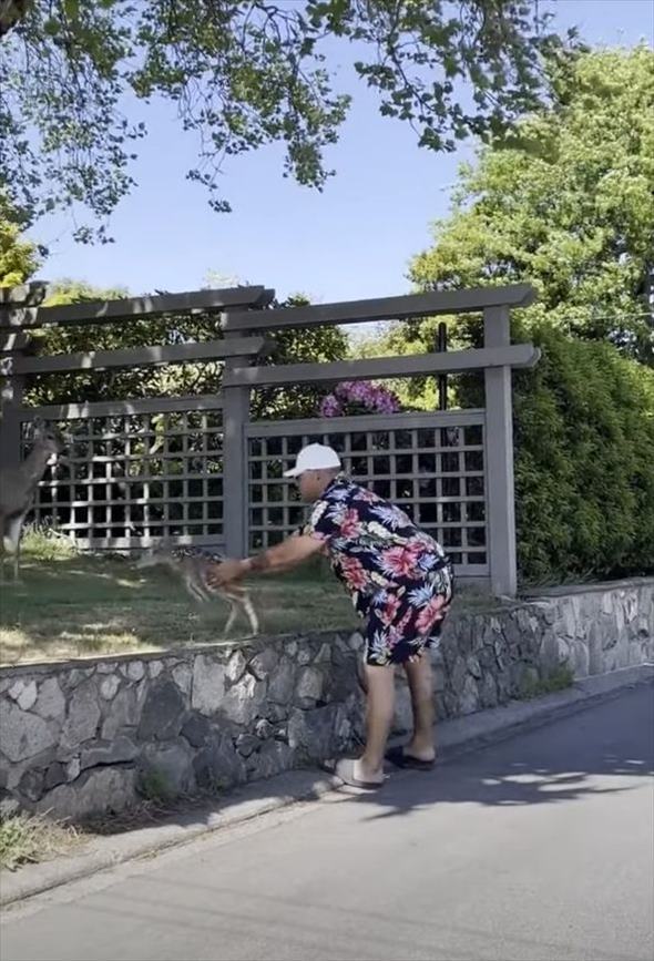 シカの親子を助けた男性。子ジカは母親のいる高い場所まで行けず困っていましたが・・