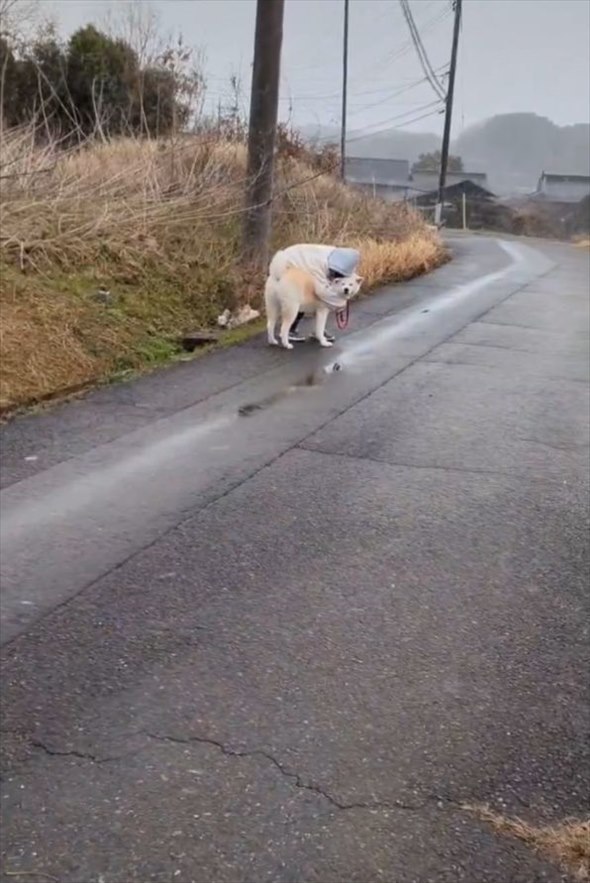 寒すぎて散歩中の愛犬で暖を取る女の子。そんなふたりの姿に「かわいすぎる」「犬もうれしそう」