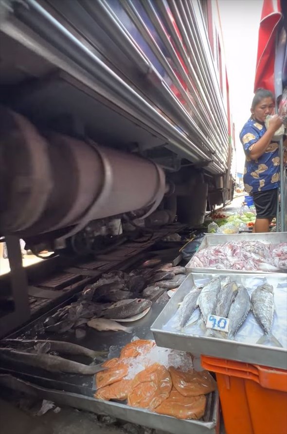 【タイ名物】観光客が多くいる市場でみんながお店の前で横に並んでいく・・。カメラも構えてなにかあるのかと思えば、現れたものにビックリ！！