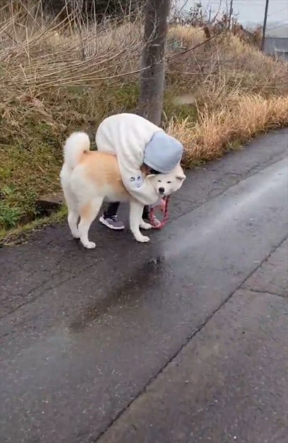 寒すぎて散歩中の愛犬で暖を取る女の子。そんなふたりの姿に「かわいすぎる」「犬もうれしそう」