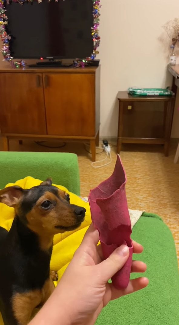 飼い主さんの投げたオモチャを取りに行った犬。ところがオモチャは戸棚の下に行ってしまい・・・、その時見せた犬の姿がユーモラス！！