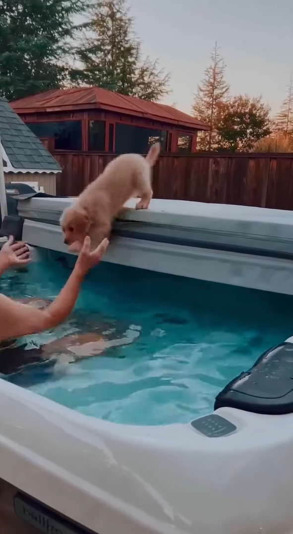 勇気を振り絞った子犬。湯船を怖がっていたけれど・・飼い主さんに向かってダイブ！！【アメリカ・動画】