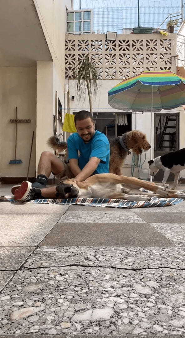 犬をわしゃわしゃ。楽しく遊んでいたら・・まさかのハプニング！！【海外・動画】