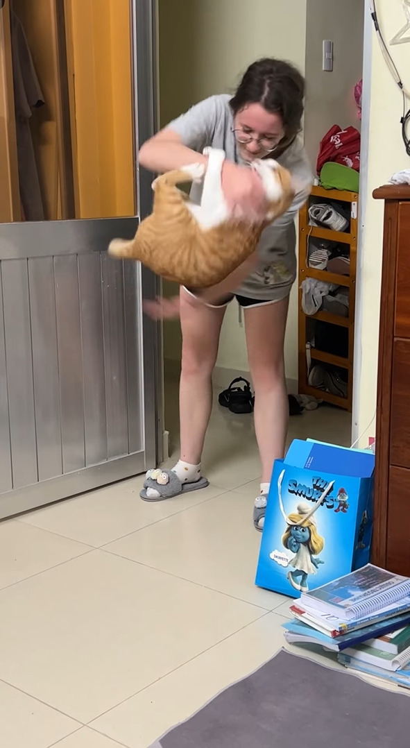 猫とキャッチボールってそういうこと！？猫がボールのように飼い主さんの腕に弾いくとギュッと掴まります！！【海外・動画】