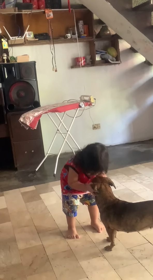 お家にやってきた幼い男の子。お家に入ってまず最初にする事がキュート過ぎる!!【海外・動画】