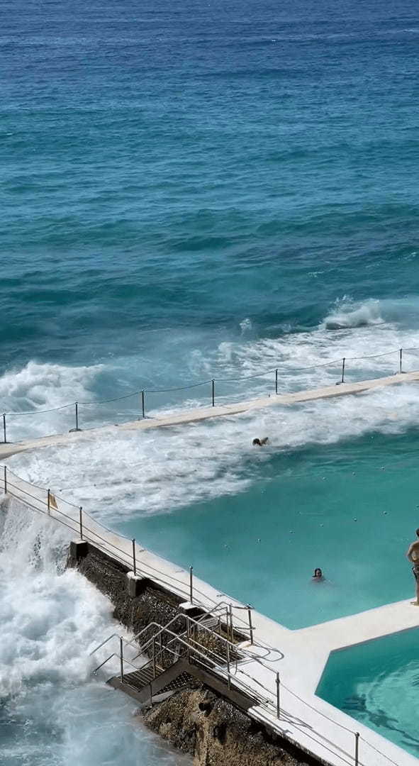 ギャップがスゴい！海に近いリゾートプールかと思ったら・・、まさかのワイルドなプールでした！！【海外・動画】