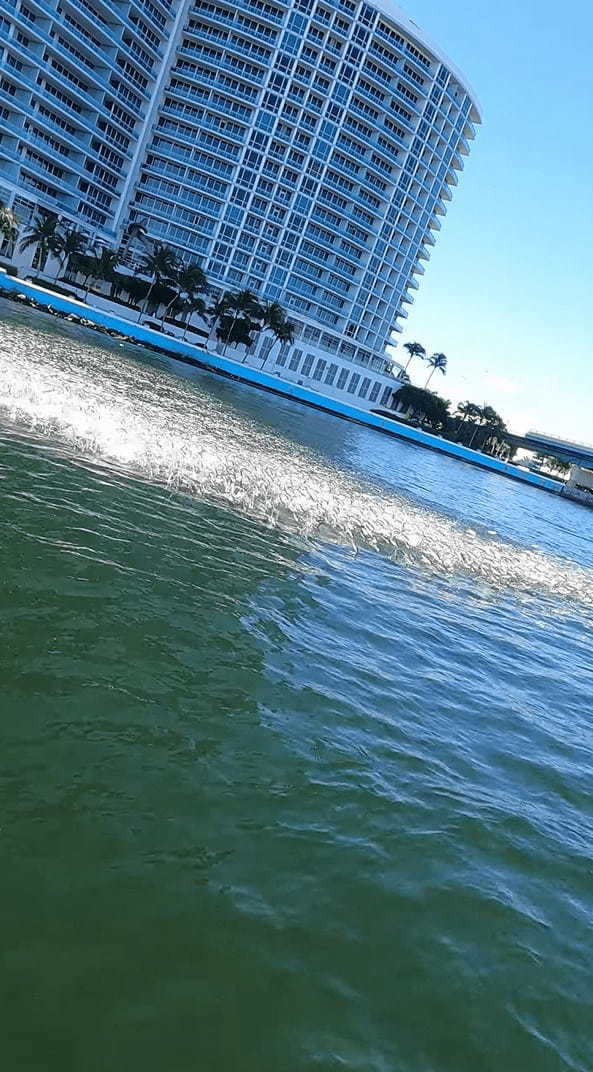 海中から何かが接近してくる！パドリング中に接近してきたのは巨大水棲生物・・ではなく！！【アメリカ・動画】