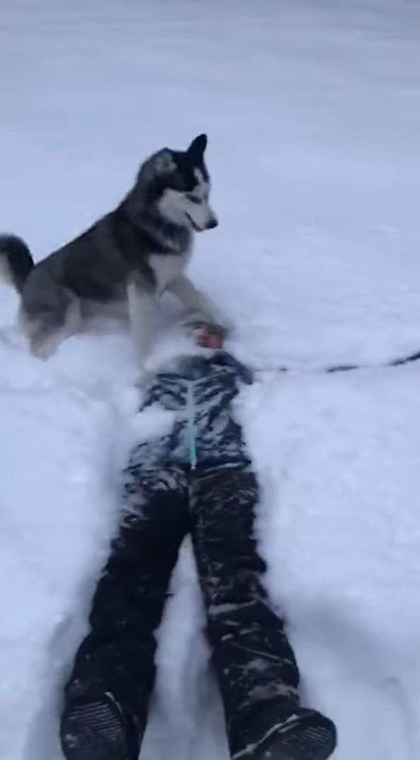 積もった雪に後ろ向きに倒れ込んだ女性！予想外の思わぬ追撃を受けることに！