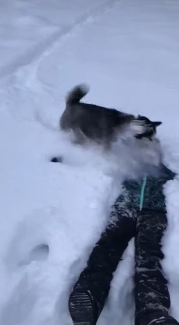 積もった雪に後ろ向きに倒れ込んだ女性！予想外の思わぬ追撃を受けることに！