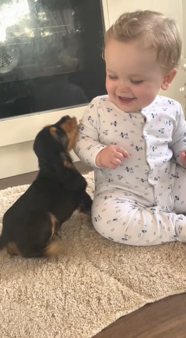 ずっと見ていられるわぁ。赤ちゃんと子犬の初めましての様子がかわいすぎる！！