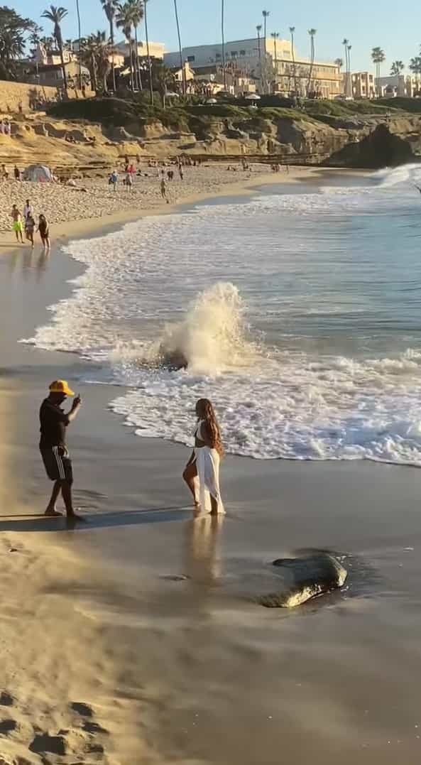 ビーチで撮影に夢中になっている男女。そのすぐ横で、動画を回したらバズりそうなスゴい事が起きていますよ!!
