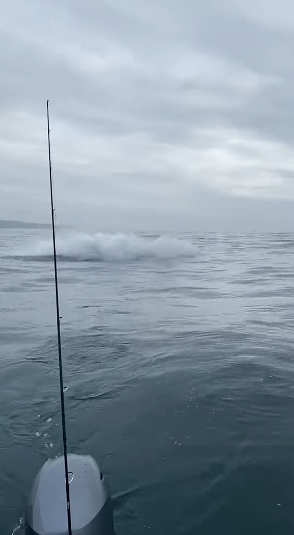 船釣りを楽しんでいたら、そのすぐ後ろでなんとクジラがジャンプ！船のそばには他のクジラも接近していました！！【海外・動画】