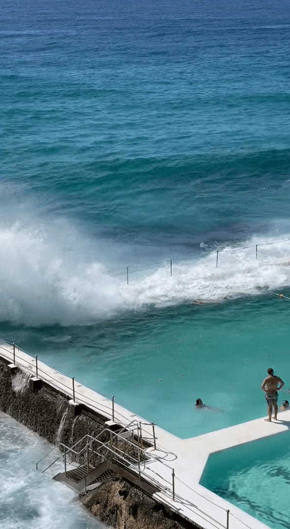 ギャップがスゴい！海に近いリゾートプールかと思ったら・・、まさかのワイルドなプールでした！！【海外・動画】