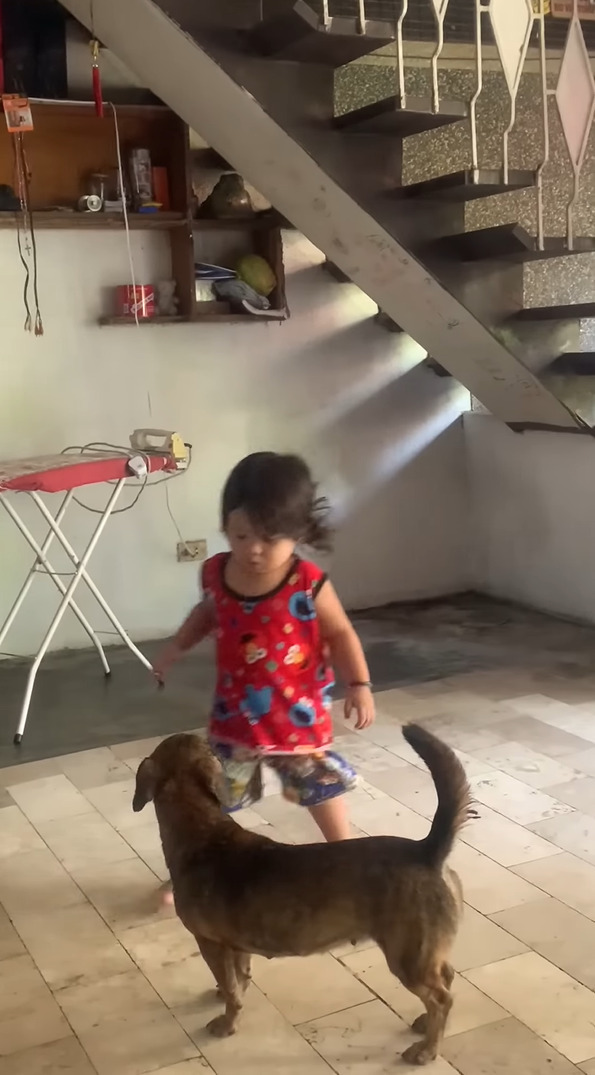 お家にやってきた幼い男の子。お家に入ってまず最初にする事がキュート過ぎる!!【海外・動画】