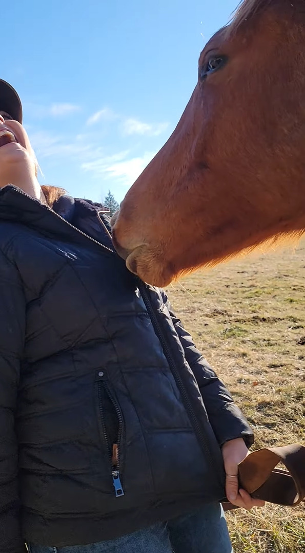 この馬とっても賢い！女性のアウターに顔を寄せていると思ったら、とっても器用な行動に出ました！！【アメリカ・動画】