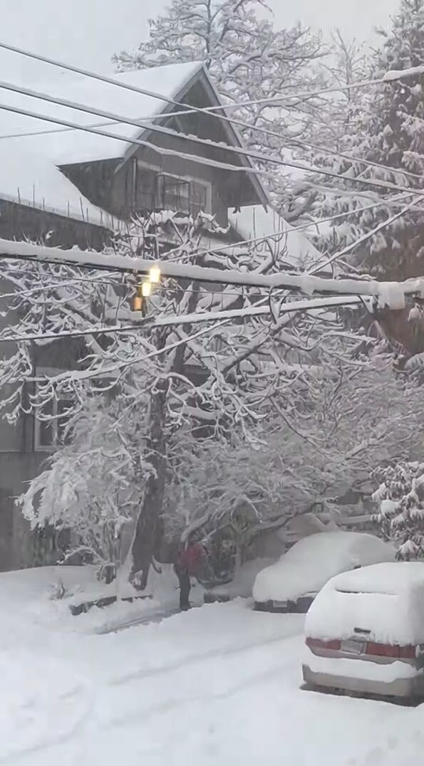 リスが雪かきしてくれている？雪の積もった電線をリスが走り回ると・・【海外・動画】