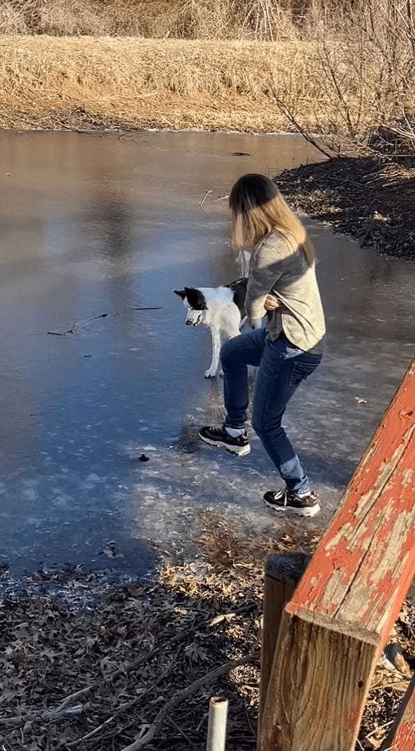 氷の上に立つボーダーコリー。飼い主さんのマネをしようとしたところ大失敗してしまうのですが・・・、諦めることなく再挑戦！！