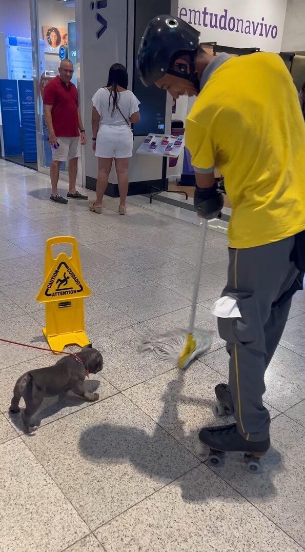 子犬がショッピングモールでお気に入りのオモチャを発見！飛びかかって噛みついくほど気に入ったのは・・【海外・動画】