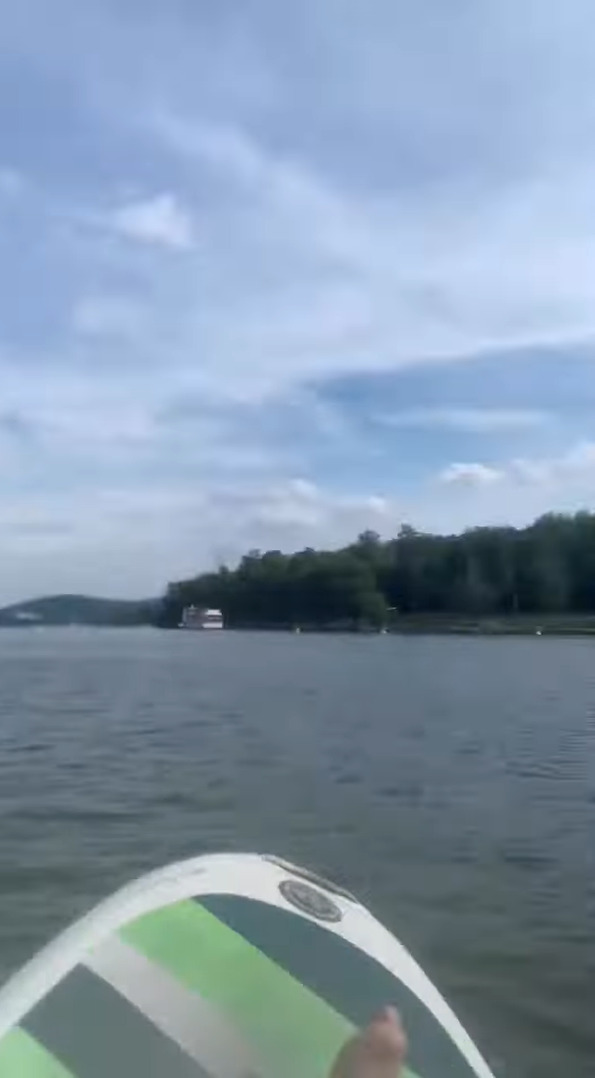 飼い主さんと一緒にパドルボードで湖面に浮かぶ愛犬。ところが、この子が急に湖に飛び込んだ結果、飼い主さんはとばっちりを喰らう羽目に・・