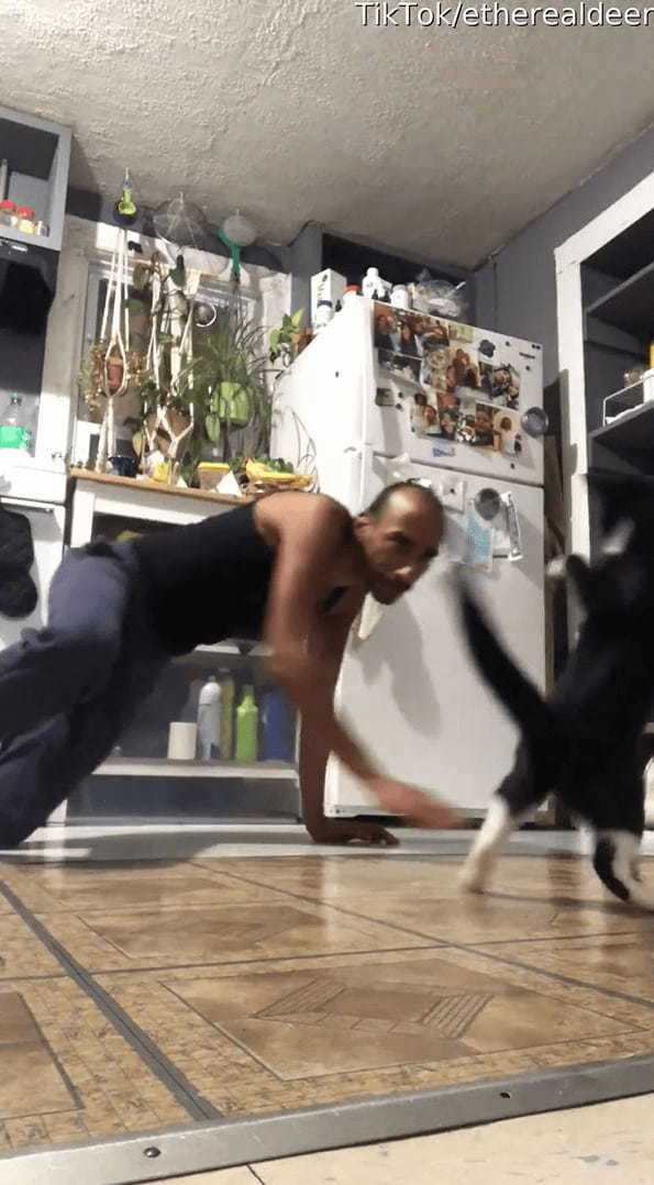 愛猫と一緒にフレームインしてきた男性。その愛猫の姿にビックリ！！