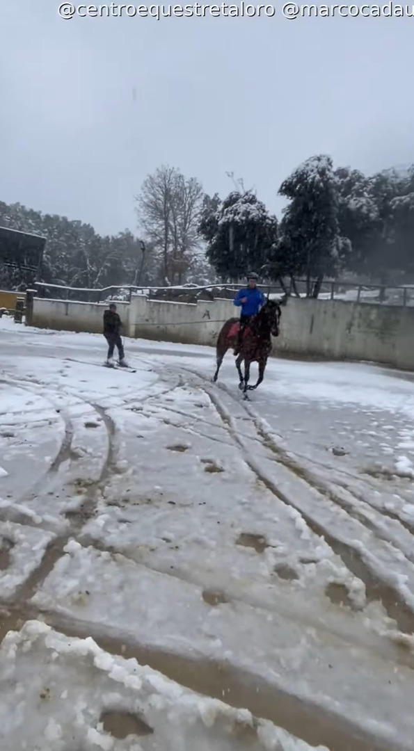 雪が積もった後、外を駆ける馬。その後ろにはスキーに乗って曳いてもらっている男性の姿が！【海外・動画】