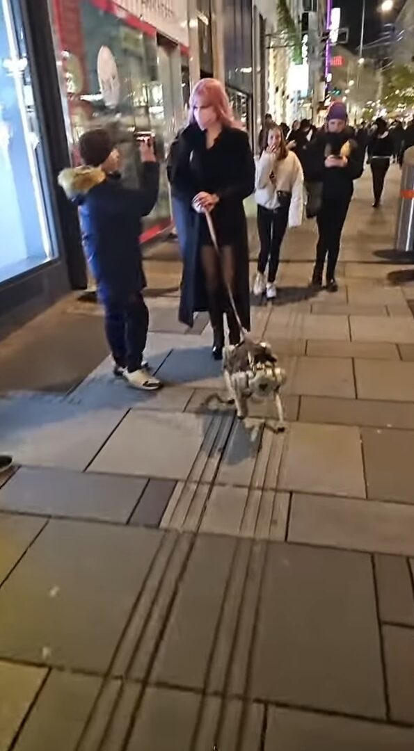 女性が犬を散歩させていると思ったら・・。リードの先にいるのはロボット犬！？【海外・動画】
