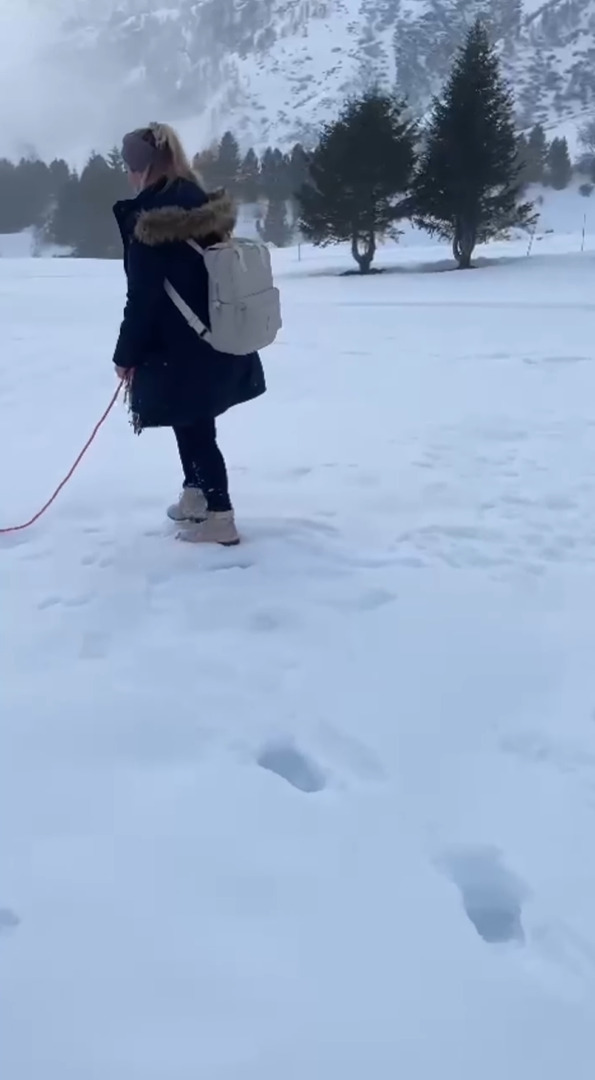 これは愛犬のお散歩どころではないかも！？スキーリゾート地チェルヴィニアの積雪量がスゴすぎて、一歩進む度に雪に足が沈んでいます！！