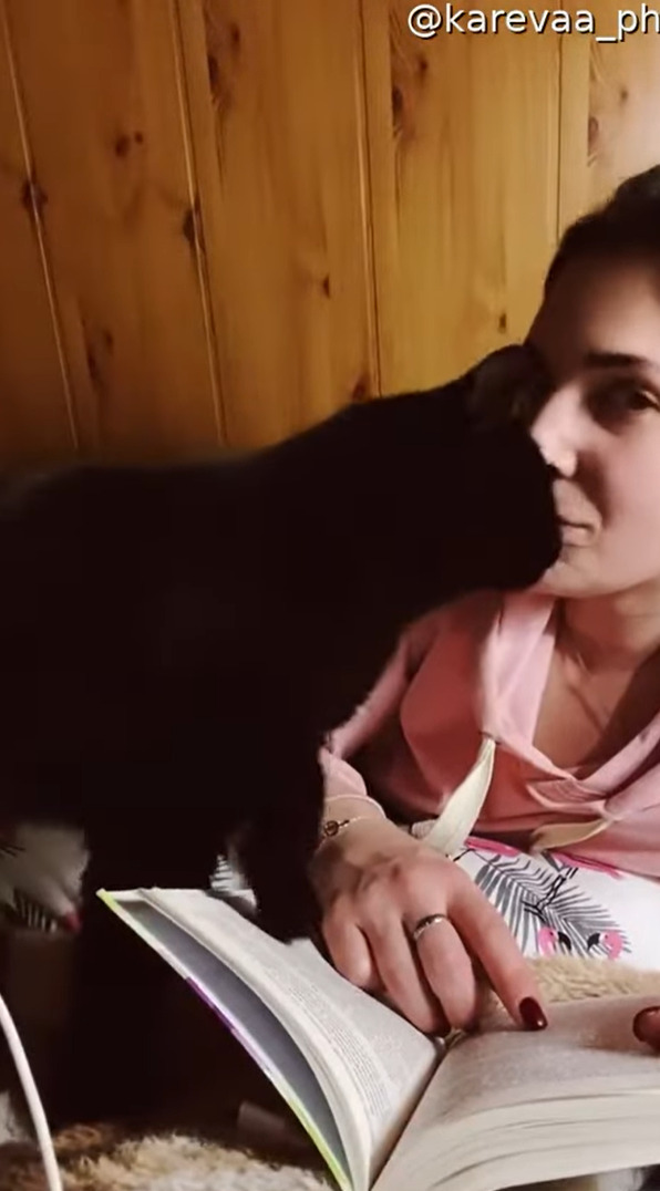 飼い主さんに甘える猫。キスをしてもらいたいみたいだけど・・、そのおねだりの仕方がなんだかパワフル！！【海外・動画】