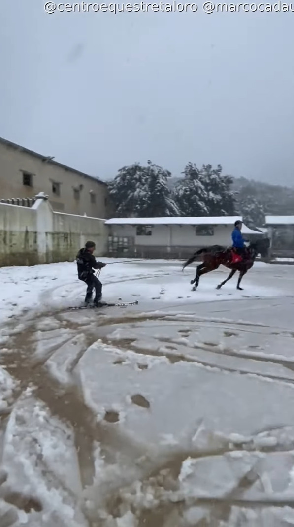 雪が積もった後、外を駆ける馬。その後ろにはスキーに乗って曳いてもらっている男性の姿が！【海外・動画】