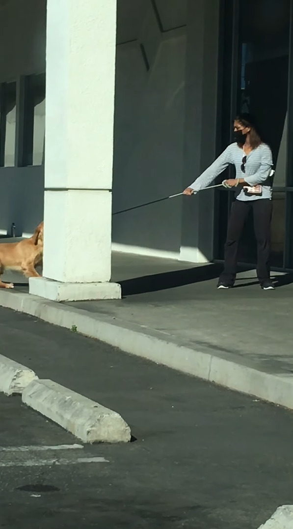 病院に行くのを頑なに拒む犬。踏ん張ったり飼い主さんも引きずるようにしてバックしてみせますが・・・