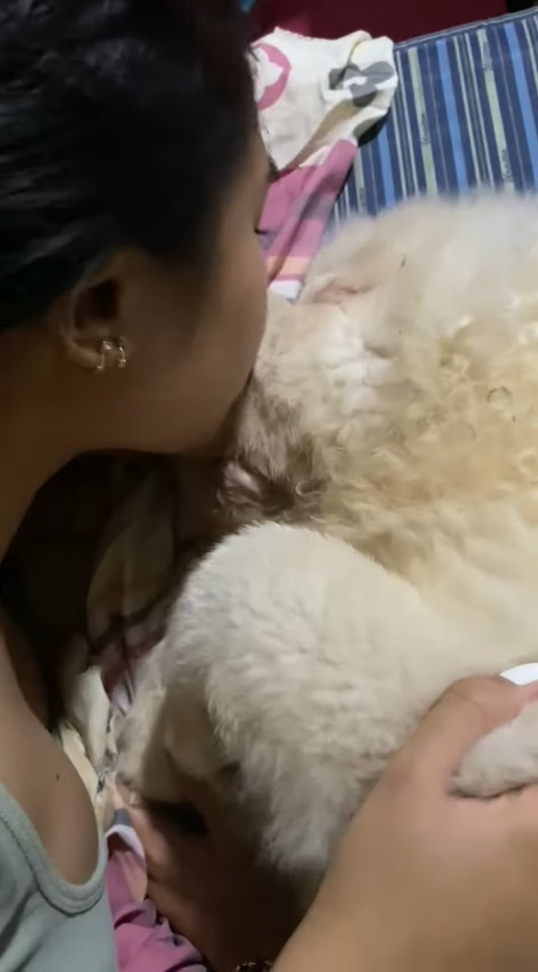 パパさんからのキスを拒む愛犬。ママさんからのキスは嬉しそうに受け入れたので、パパさんがもう一度キスすると・・【海外・動画】