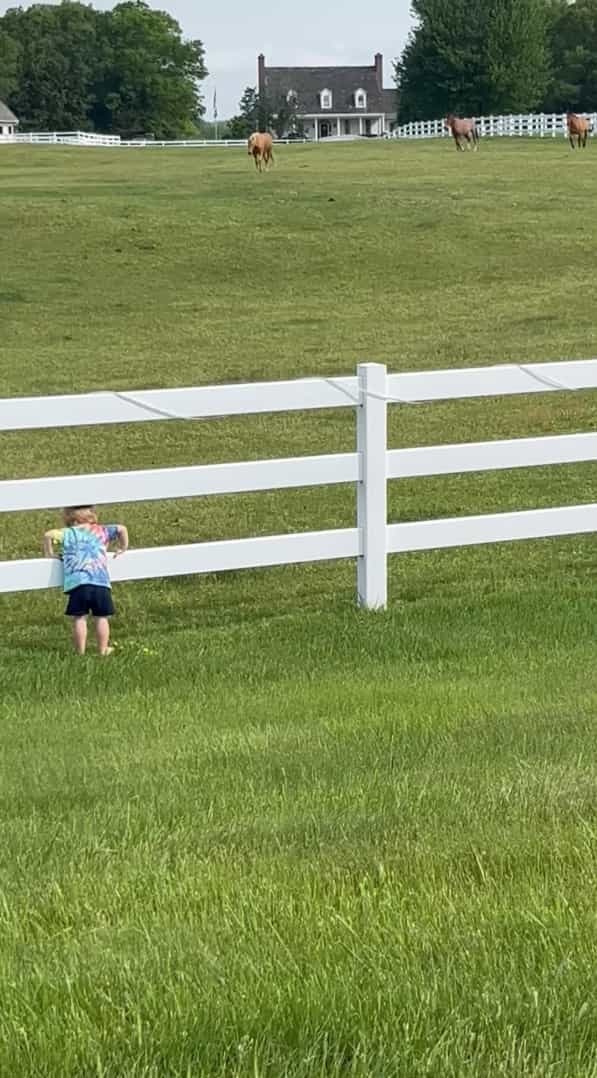 近所の牧場の馬たちと仲良しな男の子。この子が呼びかけるように声を上げながら柵をパンパン叩くと・・【アメリカ・動画】