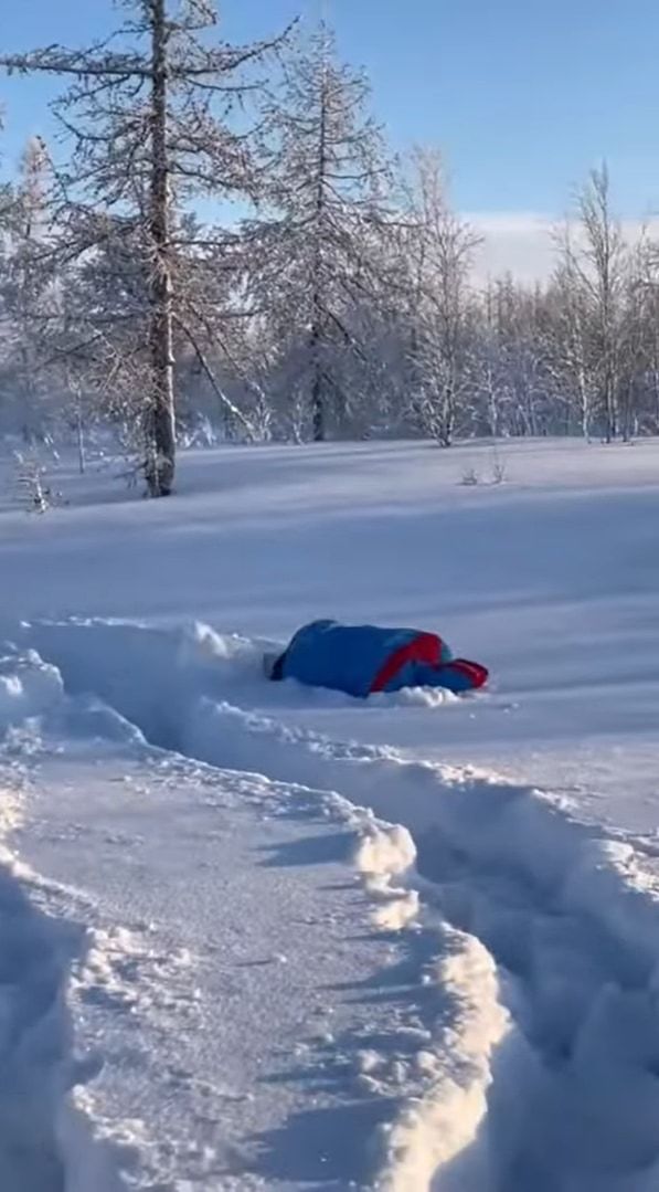 雪を堪能するハスキー犬たち