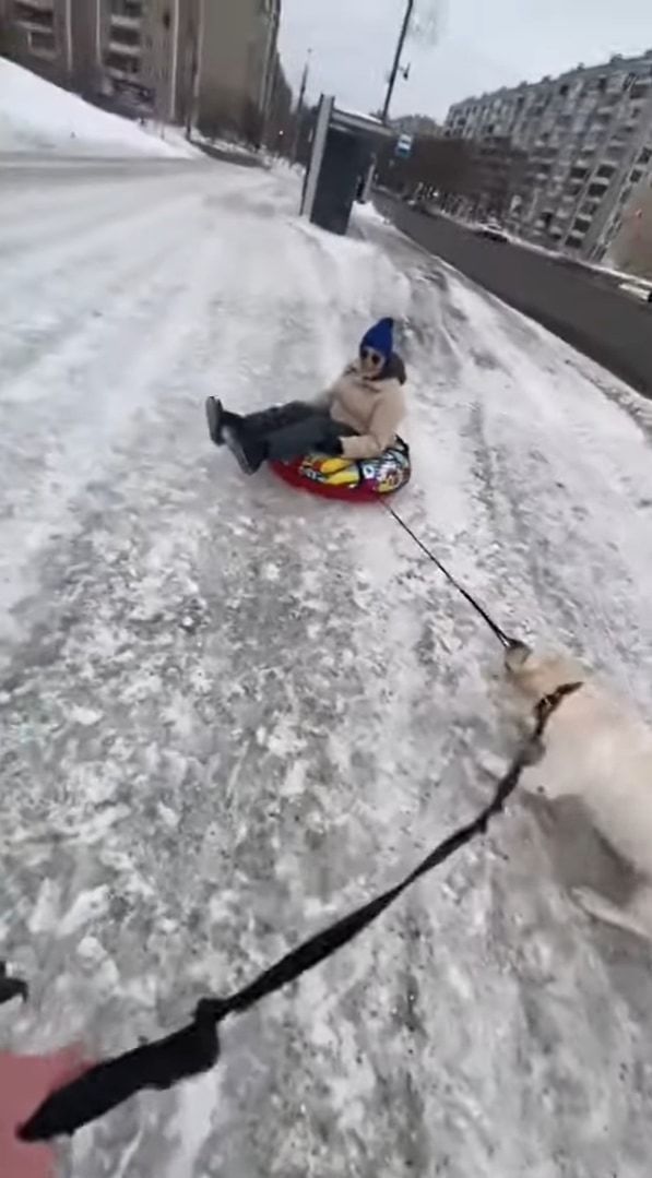 凍った雪道でソリを曳こうとする懸命に引っ張る犬。そこに心強い味方がやって来たぞ！！