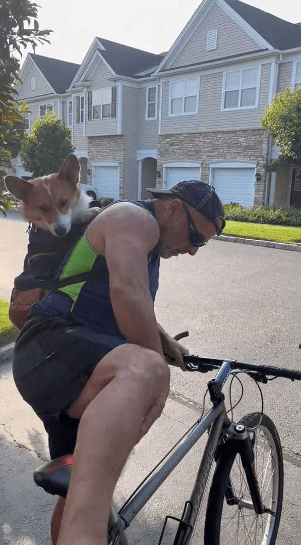 自転車に乗るパパさんとお出かけするコーギー。とはいえ、この子は自分で走るわけではなく・・、お出かけする姿にビックリ！【アメリカ・動画】