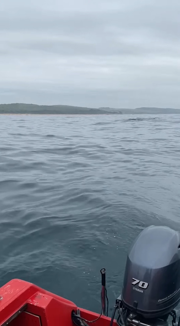 船釣りを楽しんでいたら、そのすぐ後ろでなんとクジラがジャンプ！船のそばには他のクジラも接近していました！！【海外・動画】