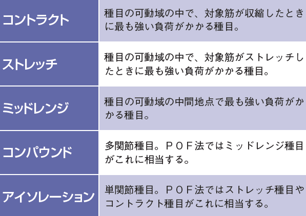 背中の筋肉を集中的に鍛えるアフターショックワークアウトで確実に刺激する