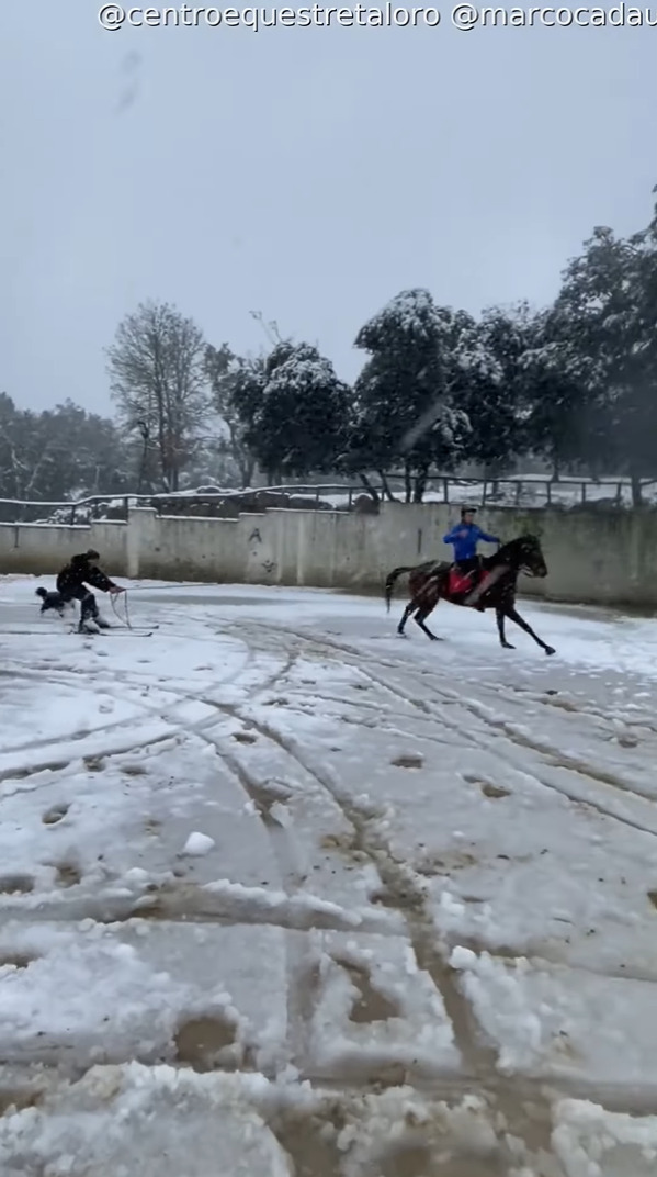 雪が積もった後、外を駆ける馬。その後ろにはスキーに乗って曳いてもらっている男性の姿が！【海外・動画】