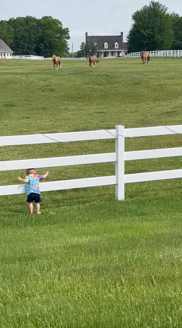 近所の牧場の馬たちと仲良しな男の子。この子が呼びかけるように声を上げながら柵をパンパン叩くと・・【アメリカ・動画】