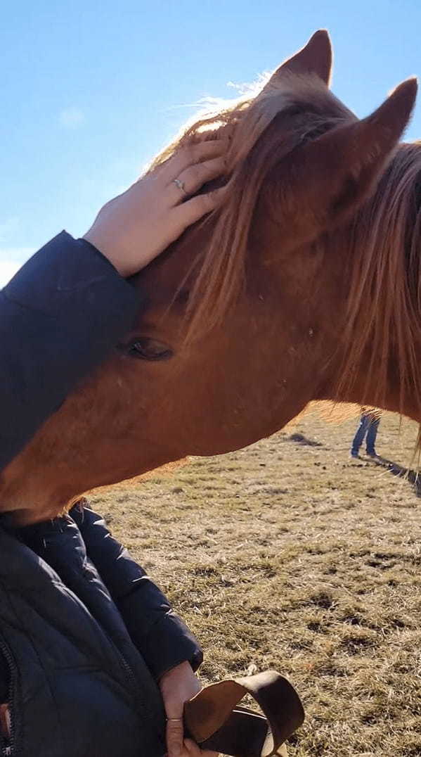 この馬とっても賢い！女性のアウターに顔を寄せていると思ったら、とっても器用な行動に出ました！！【アメリカ・動画】