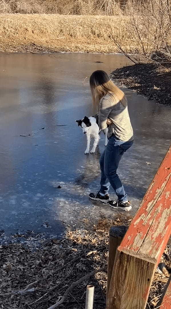 氷の上に立つボーダーコリー。飼い主さんのマネをしようとしたところ大失敗してしまうのですが・・・、諦めることなく再挑戦！！