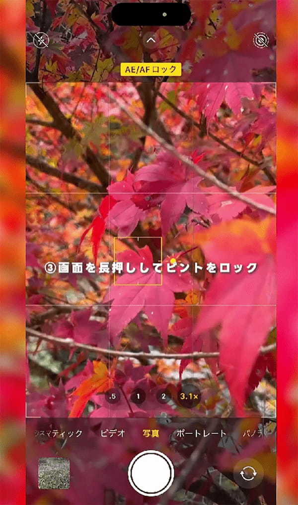 iPhoneで「紅葉をきれいに撮影する方法」 – ポイントは”主役”を決めるだけ!?